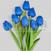 Islak Lale 8 Li Lacivert